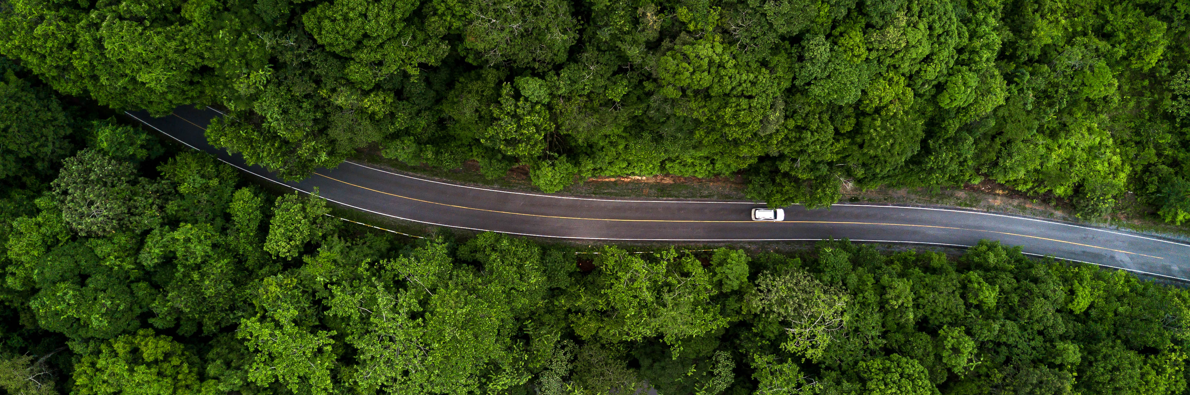 environnement voiture photo allonge